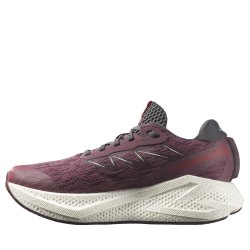 Topánky Salomon Aero Glide 4 W – fialové