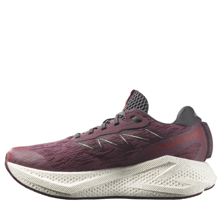 Topánky Salomon Aero Glide 4 W – fialové