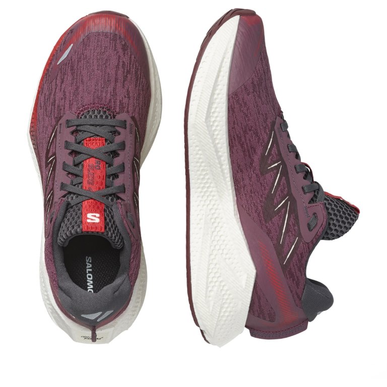 Topánky Salomon Aero Glide 4 W – fialové