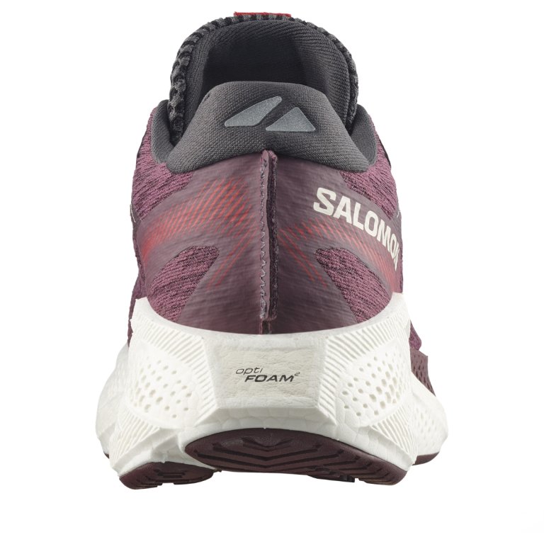 Topánky Salomon Aero Glide 4 W – fialové