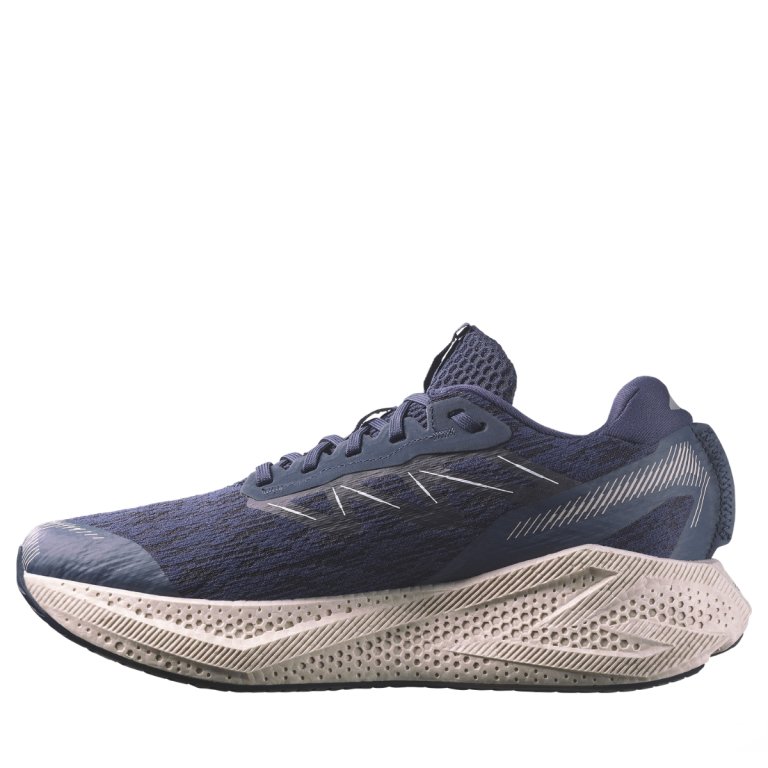 Topánky Salomon Aero Glide 4 M – tmavomodré