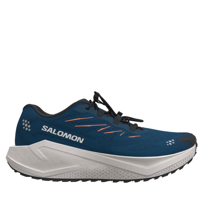 Obuv Salomon Aero Blaze 4 Grvl M - modrá