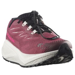 Obuv Salomon Aero Blaze 4 Grvl W - fialová