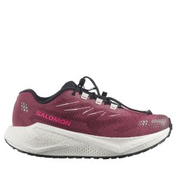 Obuv Salomon Aero Blaze 4 Grvl W - fialová