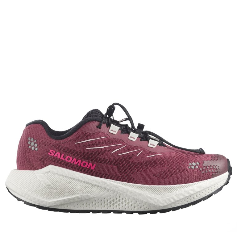 Obuv Salomon Aero Blaze 4 Grvl W - fialová
