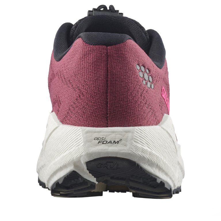 Obuv Salomon Aero Blaze 4 Grvl W - fialová