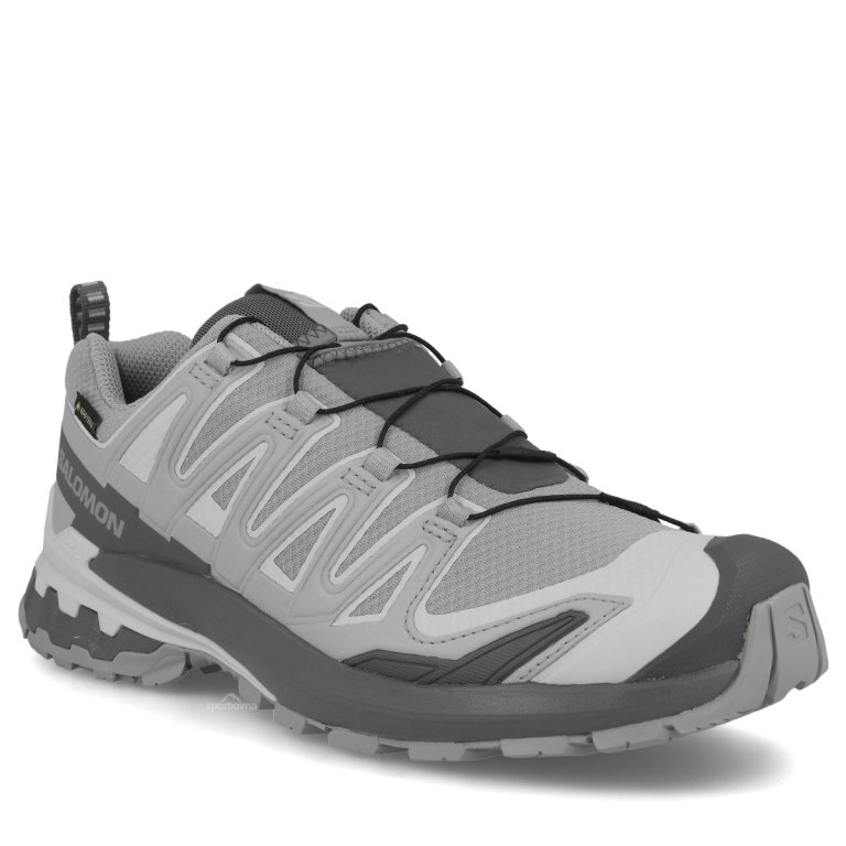 Topánky Salomon Xa Pro 3D V9 GTX W – šedé
