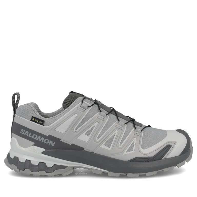Topánky Salomon Xa Pro 3D V9 GTX W – šedé