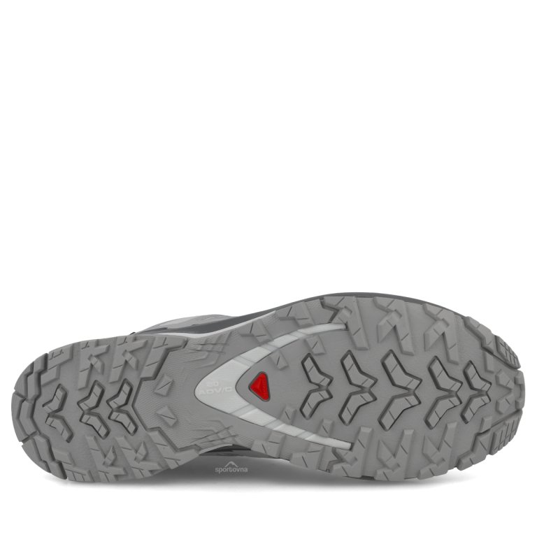 Topánky Salomon Xa Pro 3D V9 GTX W – šedé
