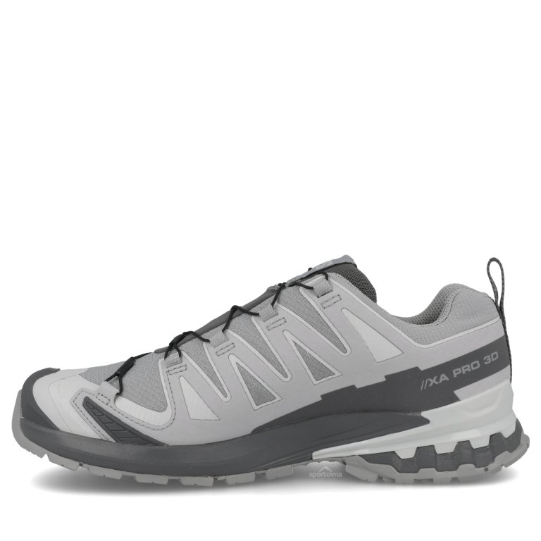 Topánky Salomon Xa Pro 3D V9 GTX W – šedé