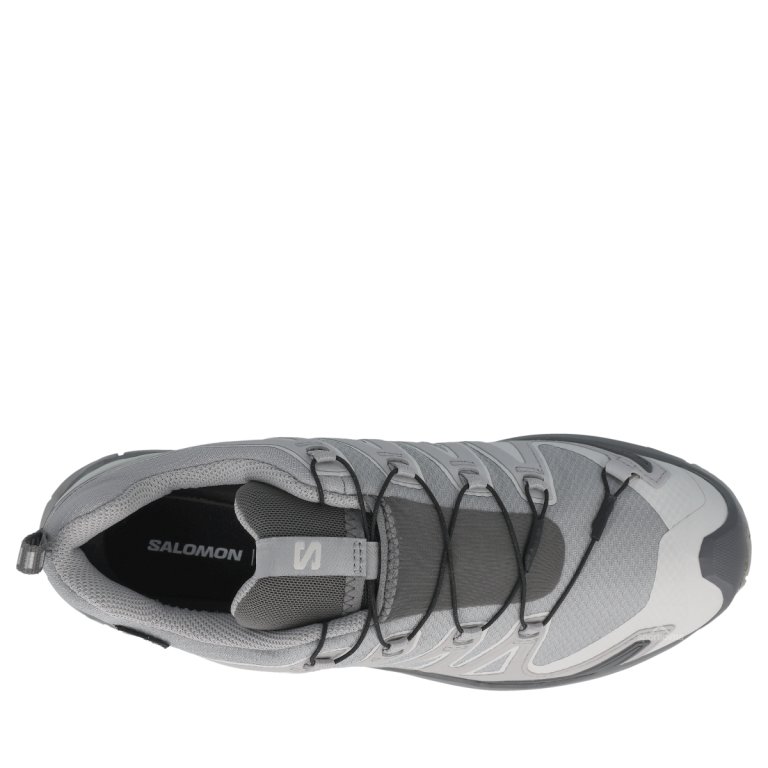 Topánky Salomon Xa Pro 3D V9 GTX W – šedé