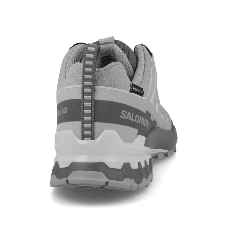 Topánky Salomon Xa Pro 3D V9 GTX W – šedé