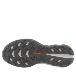 Obuv Adidas Terrex Freehiker SL Climacool M - šedá