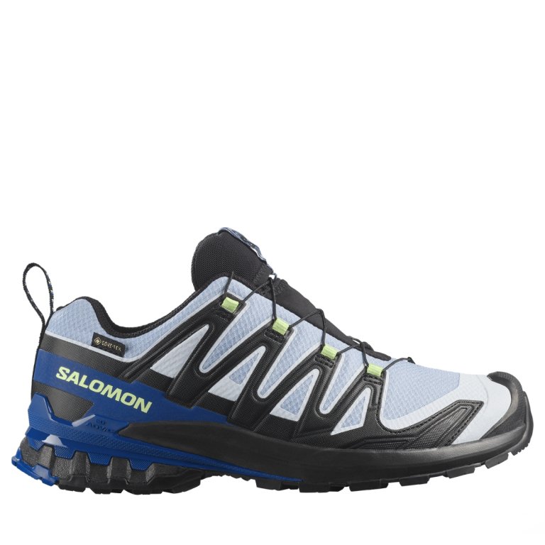 Obuv Salomon Xa Pro 3D V9 Gtx Icon M - modrá