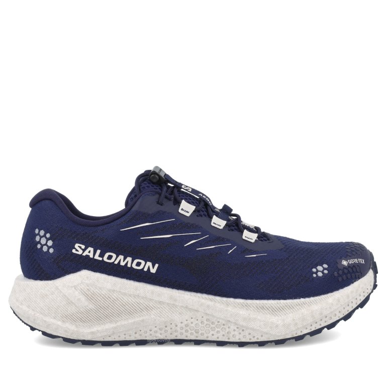 Topánky Salomon Aero Blaze 4 Grvl GTX M – modré