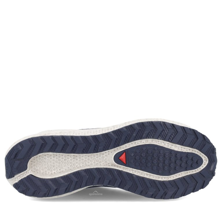 Topánky Salomon Aero Blaze 4 Grvl GTX M – modré