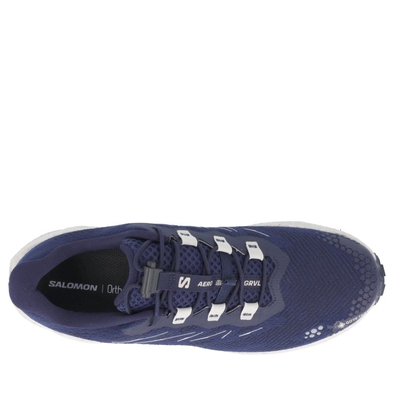 Topánky Salomon Aero Blaze 4 Grvl GTX M – modré