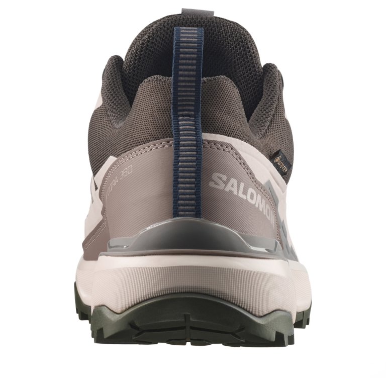 Obuv Salomon X Ultra 360 Gtx M - hnědá/béžová
