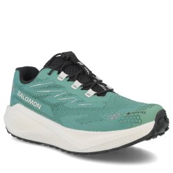 Obuv Salomon Aero Blaze 4 Grvl GTX W – zelená/modrá