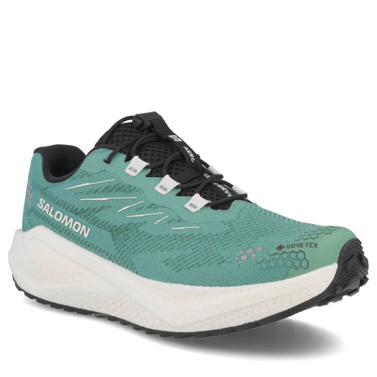 Obuv Salomon Aero Blaze 4 Grvl GTX W – zelená/modrá