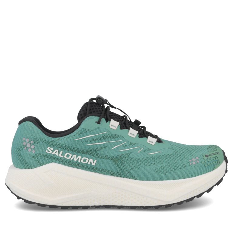 Obuv Salomon Aero Blaze 4 Grvl GTX W – zelená/modrá