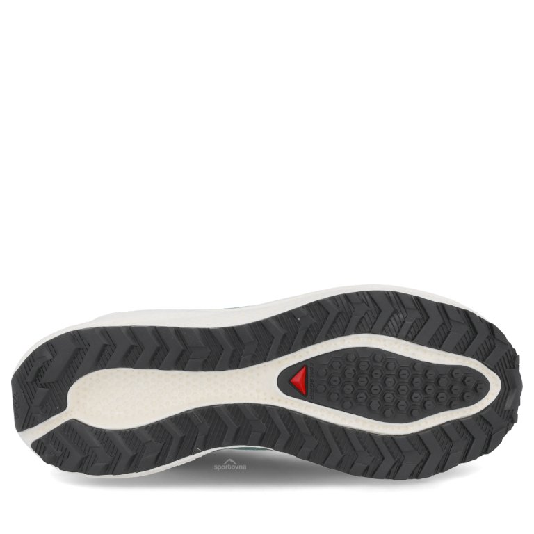 Obuv Salomon Aero Blaze 4 Grvl GTX W – zelená/modrá