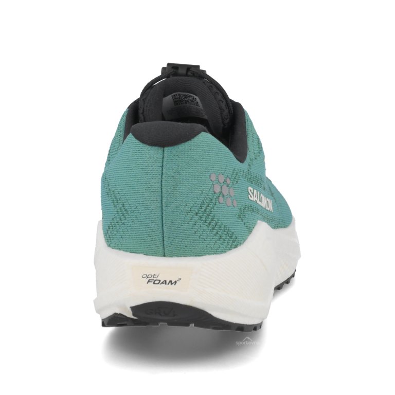 Obuv Salomon Aero Blaze 4 Grvl GTX W – zelená/modrá