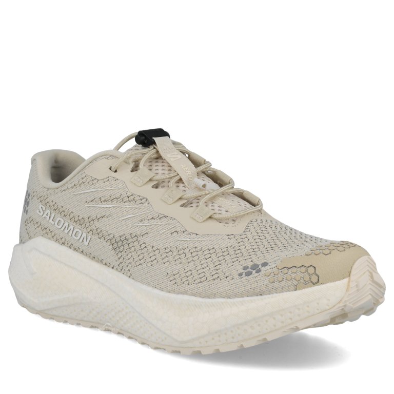 Topánky Salomon Aero Blaze 4 Grvl W – béžové
