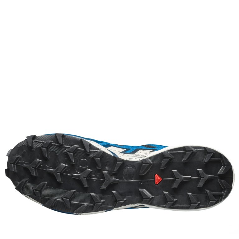 Obuv Salomon Speedcross 6 Gtx M - modrá