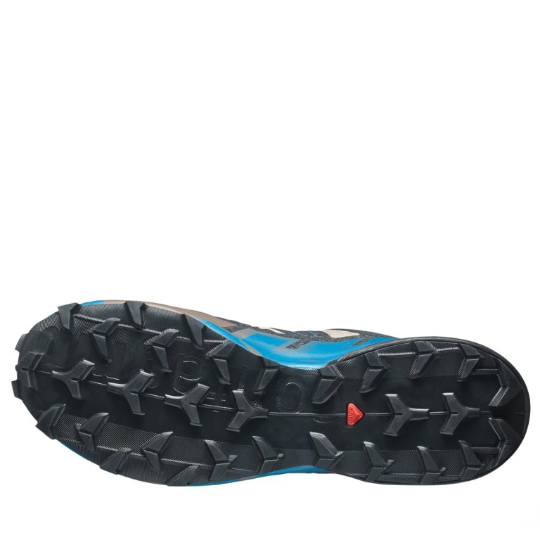 Obuv Salomon Speedcross 6 M - béžová/modrá/černá