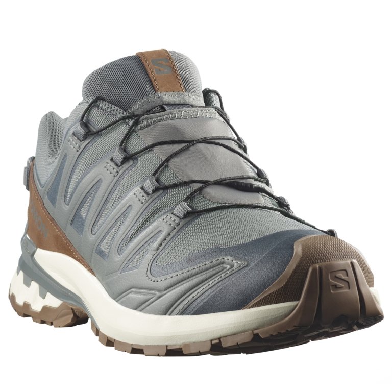 Obuv Salomon Xa Pro 3D V9 Gtx Lifelong M - šedá/hnědá