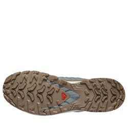Obuv Salomon Xa Pro 3D V9 Gtx Lifelong M - šedá/hnědá