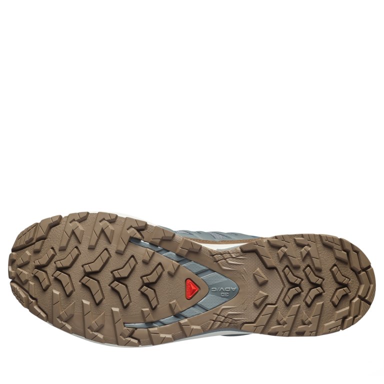 Obuv Salomon Xa Pro 3D V9 Gtx Lifelong M - šedá/hnědá