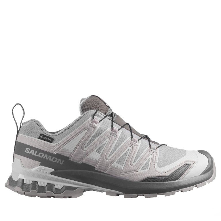 Obuv Salomon Xa Pro 3D V9 Gtx M - šedá