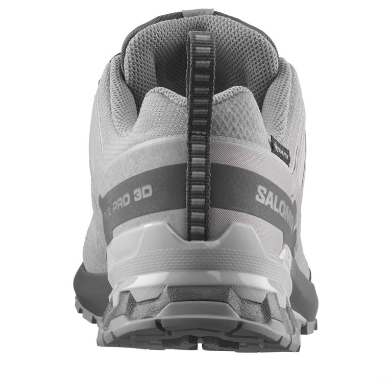 Obuv Salomon Xa Pro 3D V9 Gtx M - šedá
