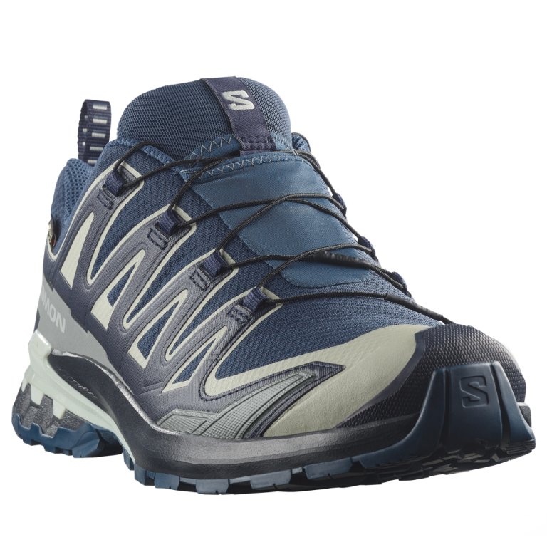 Obuv Salomon Xa Pro 3D V9 Gtx M - tmavě modrá