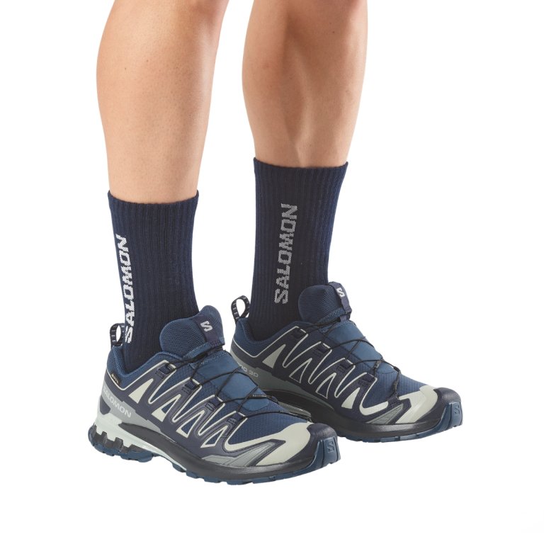 Obuv Salomon Xa Pro 3D V9 Gtx M - tmavě modrá