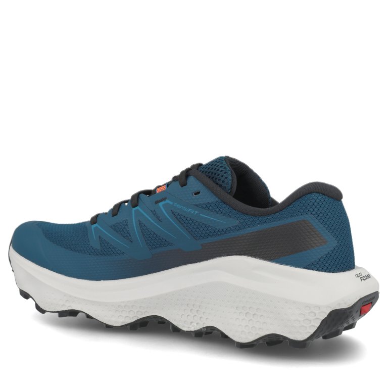 Obuv Salomon Ultra Flow 2 M – modrá