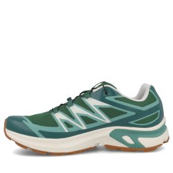 Obuv Salomon XT-Evr M - green