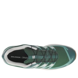Obuv Salomon XT-Evr M - green