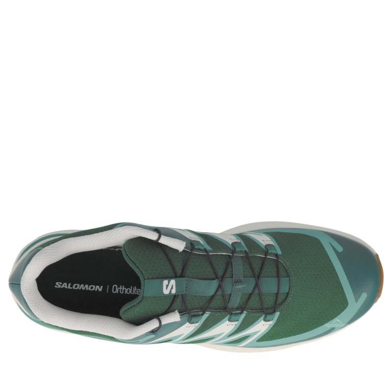 Obuv Salomon XT-Evr M - green