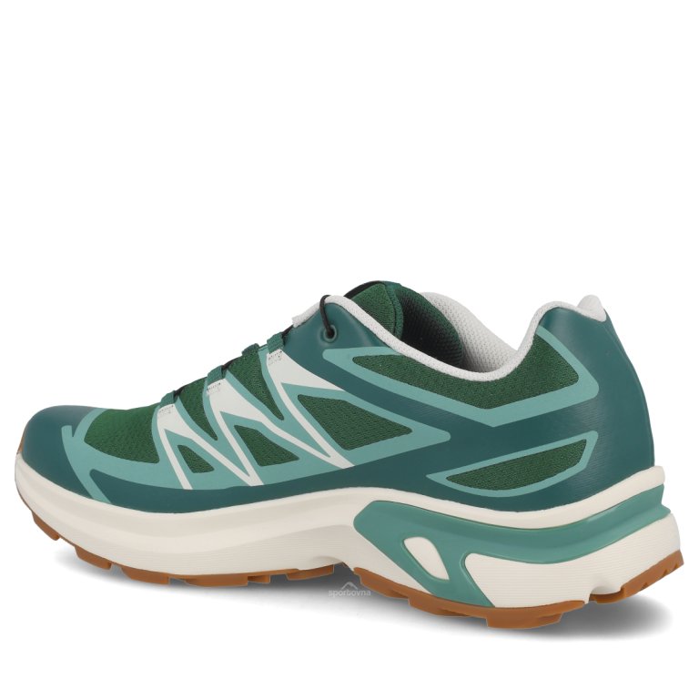 Obuv Salomon XT-Evr M - green