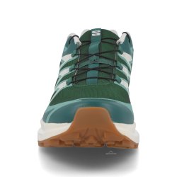 Obuv Salomon XT-Evr M - green