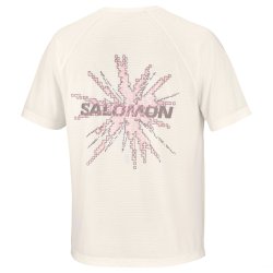 Tričko Salomon SHKout Core SS Tee Gfx M - bílá