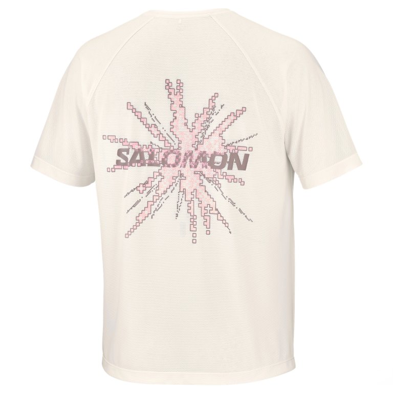 Tričko Salomon SHKout Core SS Tee Gfx M - bílá