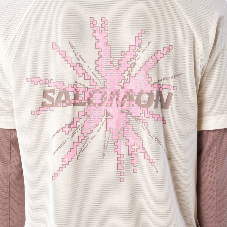 Tričko Salomon SHKout Core SS Tee Gfx M - bílá