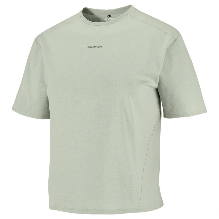 Tričko Salomon Trackline SS Tee W - šedá