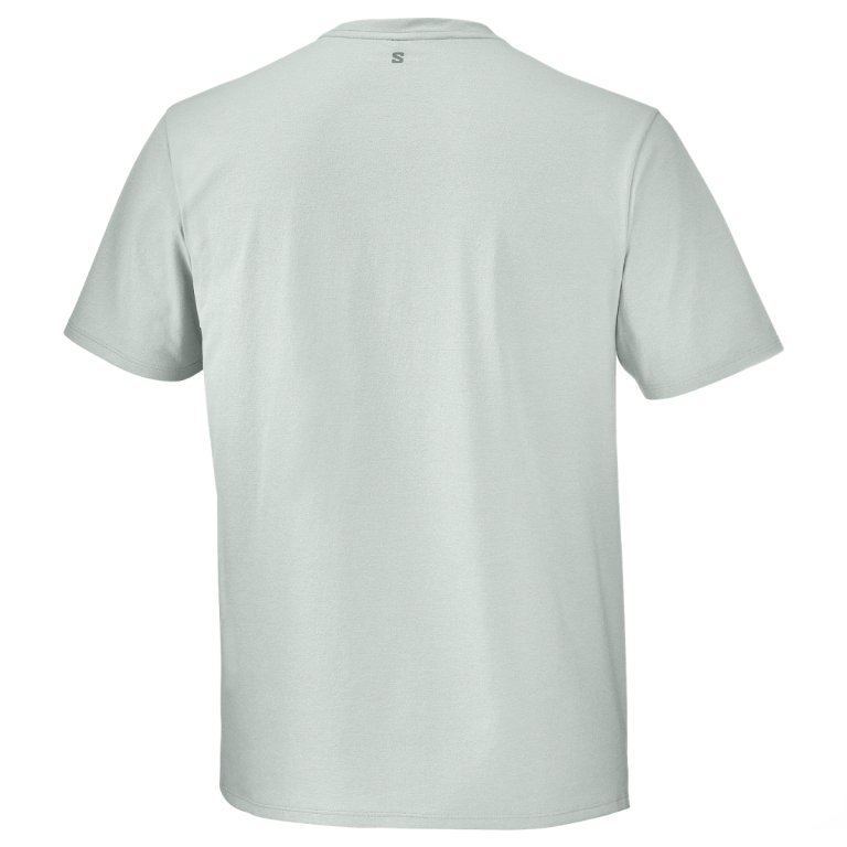 Tričko Salomon Trackline SS Tee M - šedá