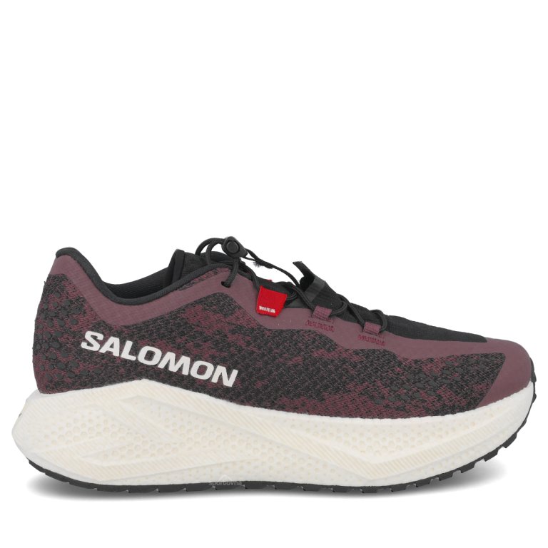 Obuv Salomon Aero Glide 4 Grvl W – fialová