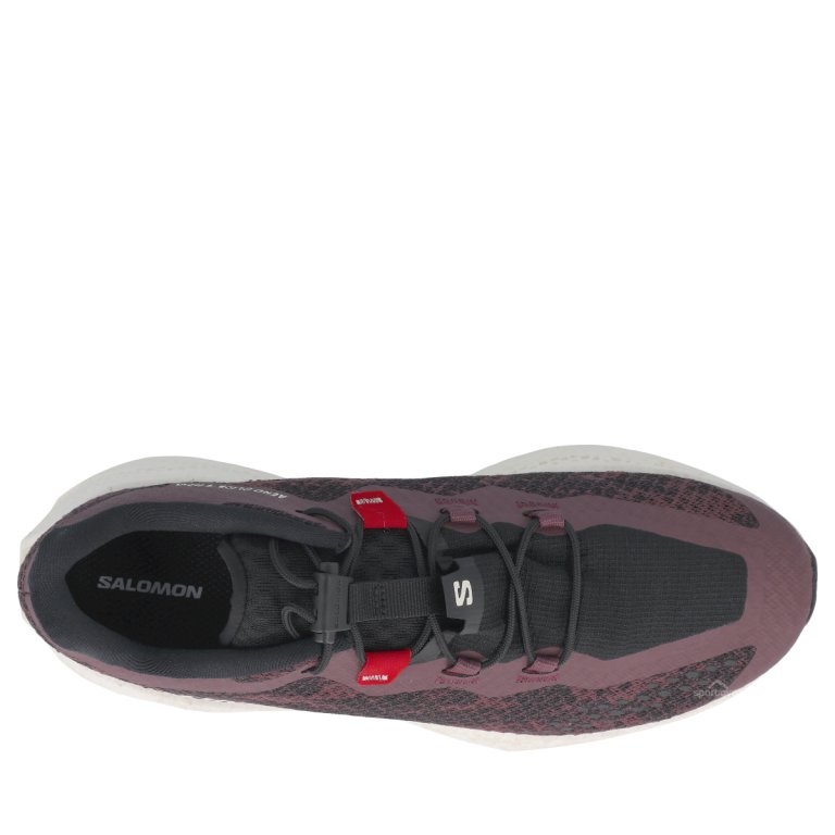 Obuv Salomon Aero Glide 4 Grvl W – fialová